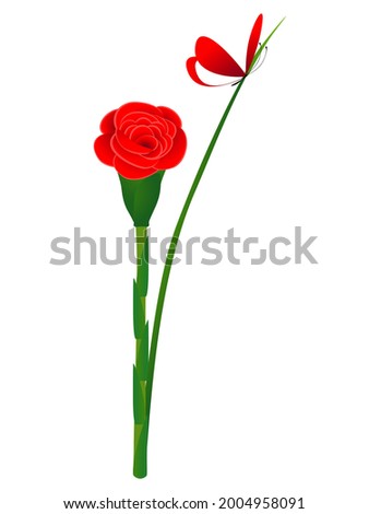 Siam rose ginger with butterfly isolated on a white background.