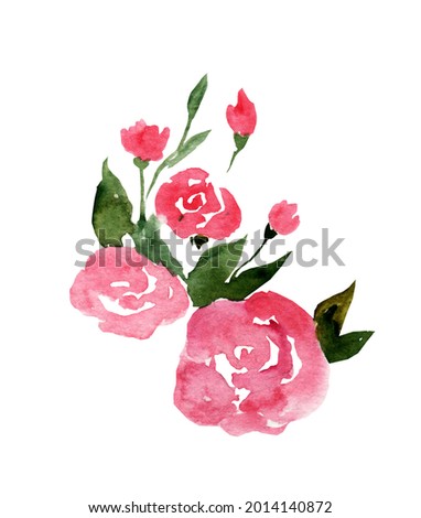 Watercolor illustration of a pink rose with leaves on a white background. Hand drawing botany. Flowers for the holiday. 8 march, mother's day, wedding