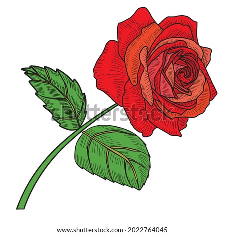 Cute bouquet of flowers from roses. Vector illustration