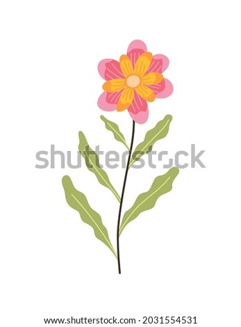 Spring flower. Botanical floral icon design. Garden plant on white background. Colorful flat  illustration. Good decoration for wedding invitation or scrapbook