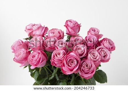 Rose Beauty Bio Gers
