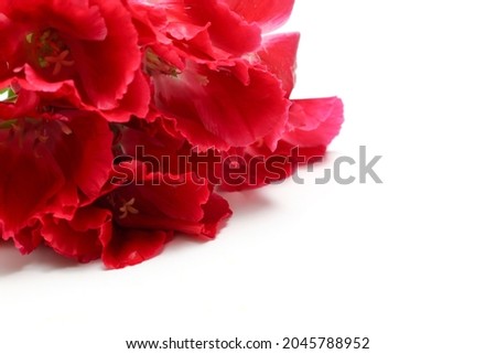 satin flowers in a white background
