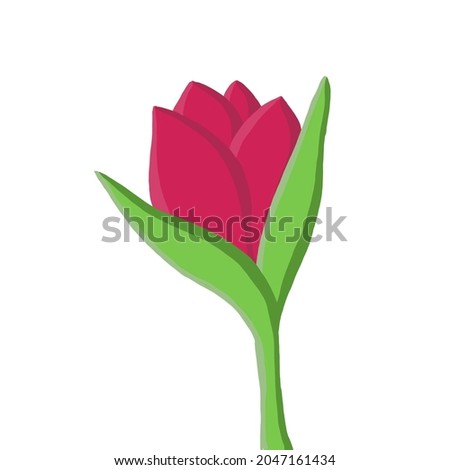 illustration of a red tulip flower