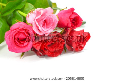 pink and res roses