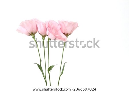 bouquet of Lisianthus in a white background