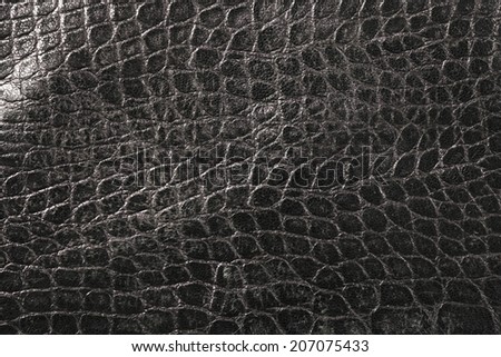 An Image of Leather