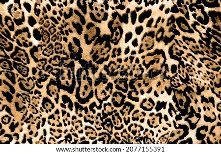 Seamless leopard pattern, leopard fur, animal print.