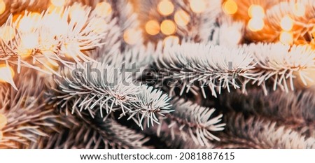 close up on snowy fir branches Christmas background