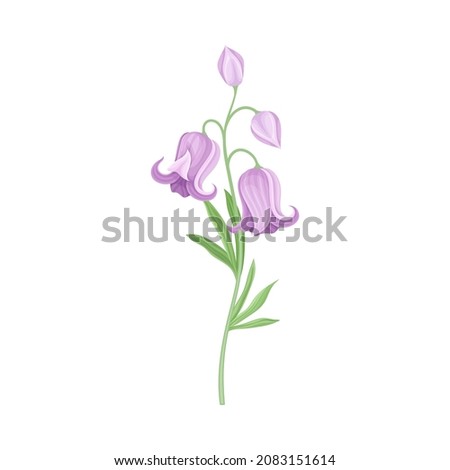 Purple Flower or Delicate Blossom on Leafy Stem Vector Illustration