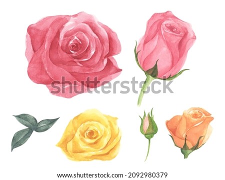 Set of rose flower. Wedding concept with flowers. It's perfect for greeting cards, wedding invitation, birthday.