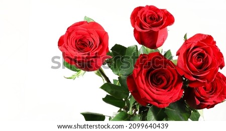 Red roses isolated on white background. Valentine's day, Birthday, Mother's day, wedding, anniversary. Flat lay. Directly above. Copy space.