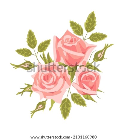 Bouquet of vintage English roses. Delicate pink flower buds with leaves, realistic style. For Valentines Day, weddings, stickers, posters, postcards, design elements