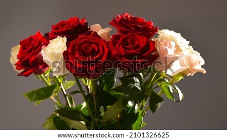 A bouquet of white and red roses flowers as symbol of love and romance against a grey background. Pure floral photography.