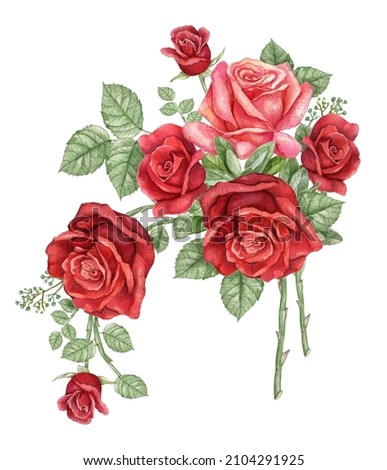 Watercolor dark red rose branch, burgundy rose flower, wedding arragement, bridal shower element,Vintage realistic botanical  rose