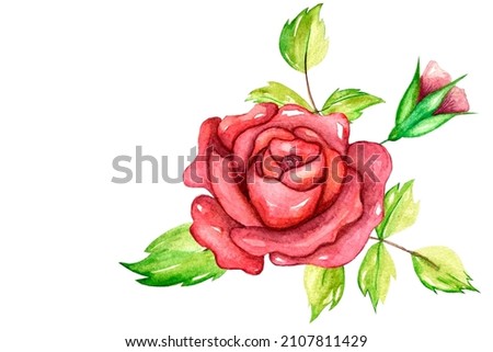 Waterclor art premade floral composition on white backgraund
