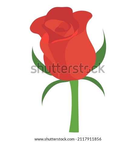 rose flat design on white background 