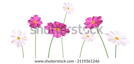 Spring Flowers Vector Background colorful flowers on a vector illustration