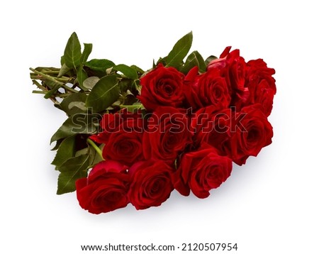 Bouquet of red roses with a shadow lies on a white background