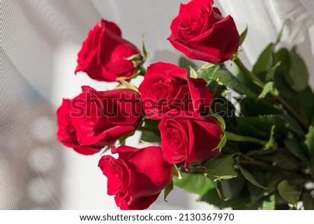 Postcard. Red roses on a white background. Congratulations on March 8, Valentine's Day, Mother's Day, Birthday, Anniversary, Wedding, Teacher's Day, to women. Copy space.