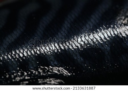 Striped coloring of skin mackerel fish close up.Texture of mackerel. Shallow depth of field
