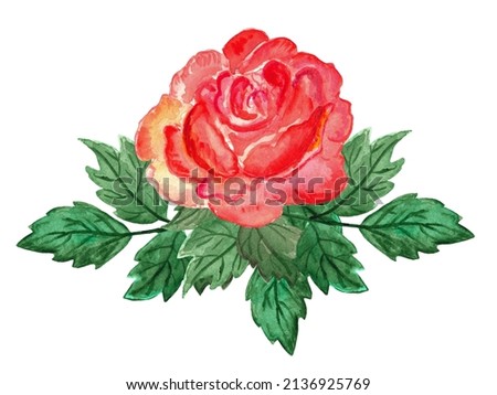 Watercolor illustration, red rose boutonniere, greenery, lush, drawing from life vintage.