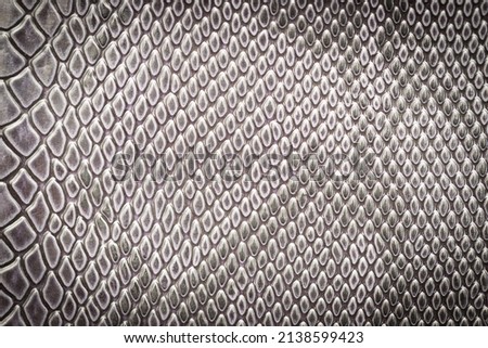 Close up of snake skin texture use for background