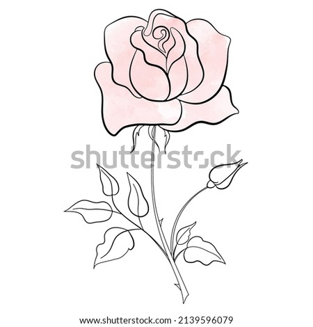 Hand drawn outline of rose flower with bud. Isolated element on a white background. Minimalistic design for postcards, congratulations.