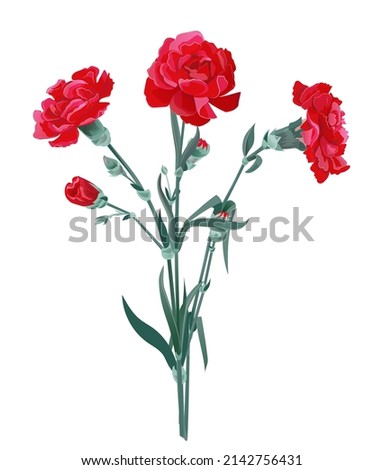 Bouquet of red carnations. Scarlet flowers, green leaves, buds on white background. Digital realistic illustration for Mother's Day, Victory Day. Vintage vector in watercolor style