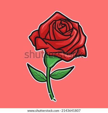 vector illustration, red rose flower