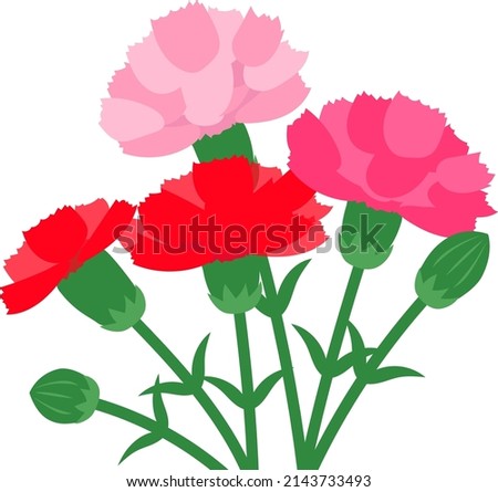 Illustration of a carnation bouquet for Mother's Day