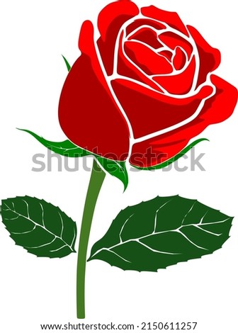Beautiful design of red rose
