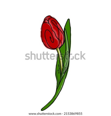 This colored tulip can be used as a logo, tattoo, etc.