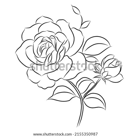 Beautiful bouquet flowers and green leaves growth on white background,line art,creative with illustration in flat design.Floral pattern,decorative series for wallpaper.Valentine day concept.