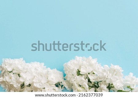 Beautiful flower arrangement. Lilac flowers, free space for text on a light pastel background. Wedding, birthday. Valentine's day, mother's day. Top view, copy space