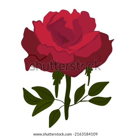Red doodle rose with green leaves isolated on white background. Hand drawn vector illustration