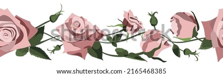 Vector floral background with pink roses, buds and leaves. Border design isolated on white background