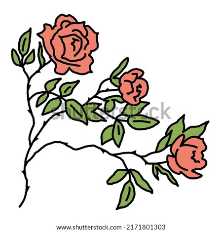 Beautiful roses with leaves. Romantic bohemian flowers  bouquet decorative element for birthday party postcard, wedding celebration invitation. Hand drawn illustration. Retro vintage style drawing. 