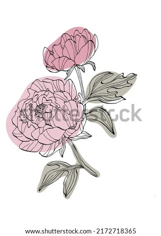Peony Abstract Hand Painted Illustrations for Wall Decoration, Postcard, Social Media Banner, Brochure Cover Design Background. Modern Abstract Painting Artwork. Vector Pattern