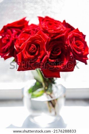 A bunch of fresh red roses in a glass vase beside a window
