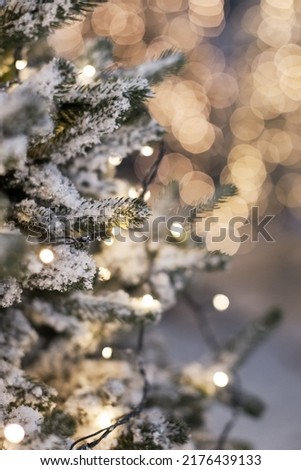 Christmas trees with lights and snow. Winter forest with fir trees, snowy Christmas background