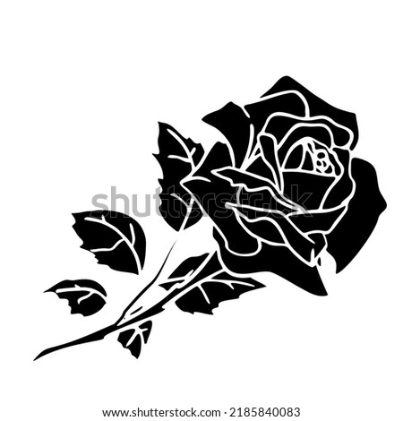 black silhouette of a rose close-up on a white background, silhouette of a flower, graphic drawing, design