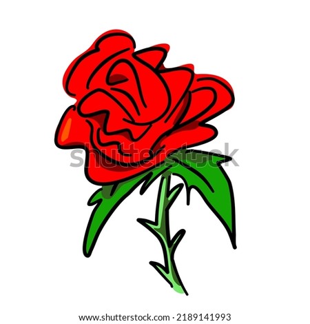Vector hand-drawn doodle red rose and leaves, isolated vector hand-drawn single red rose on white background.