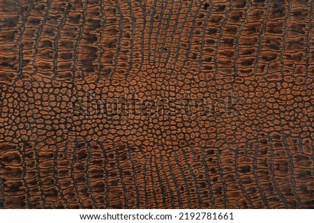Dark brown crocodile or reptile skin or leather imitation.