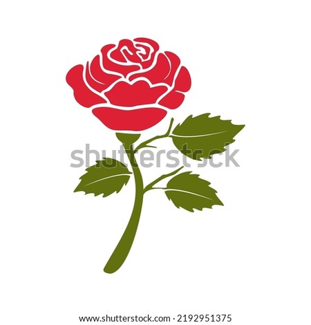 image illustration rose flowers full color