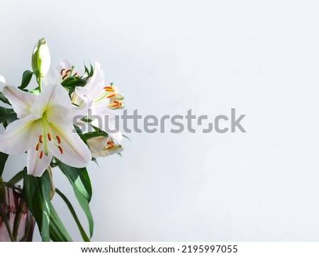 White lily flowers. Beautiful delicate plants in bouquet. Floral decor. 