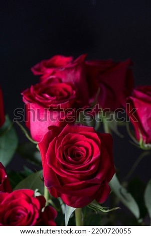Bouquet of red roses on a black background. Vertical floral background for photo wallpaper, screen saver, banner.