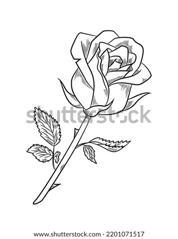 Beautiful rose sketch. Icon with blooming fragrant flower, stem, leaves and sharp thorns. Design element for postcard or wedding invitation. Cartoon simple hand drawn doodle style vector illustration