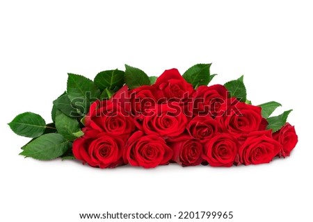 a blooming red rose with green leaves, isolate on a white background