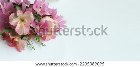 Bouquet of pink alstroemeria on a white background. A delicate festive composition. Background for a greeting card.