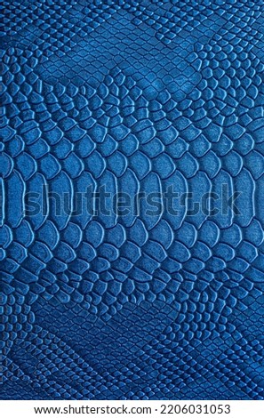 Beautiful blue bright snake or crocodile skin, reptile skin texture, multicolored close-up as a background.
